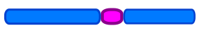 module